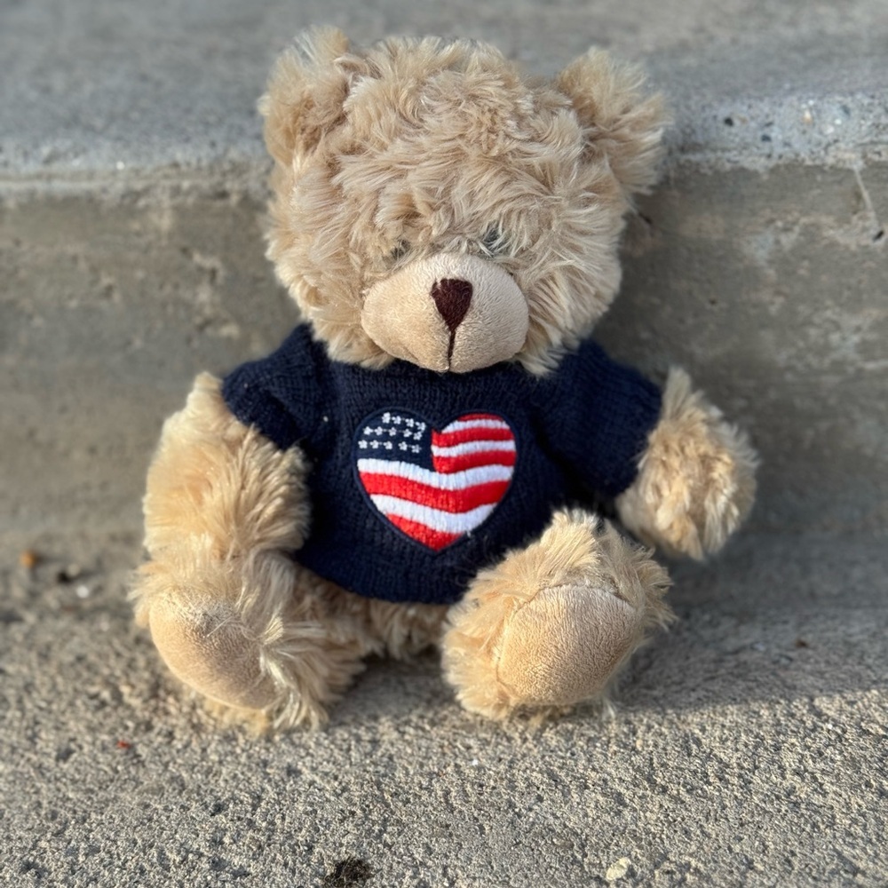 Plushland Teddy‎ Bear with USA Heart Sweater